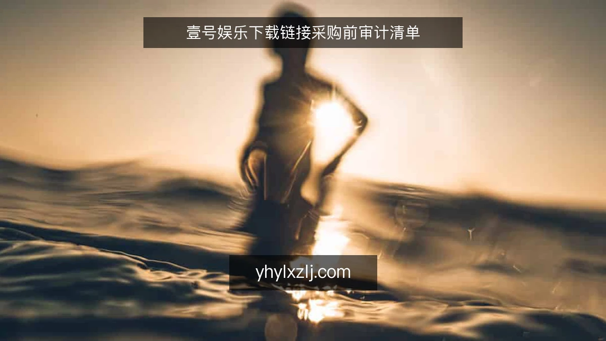 壹号娱乐下载链接采购前审计清单
